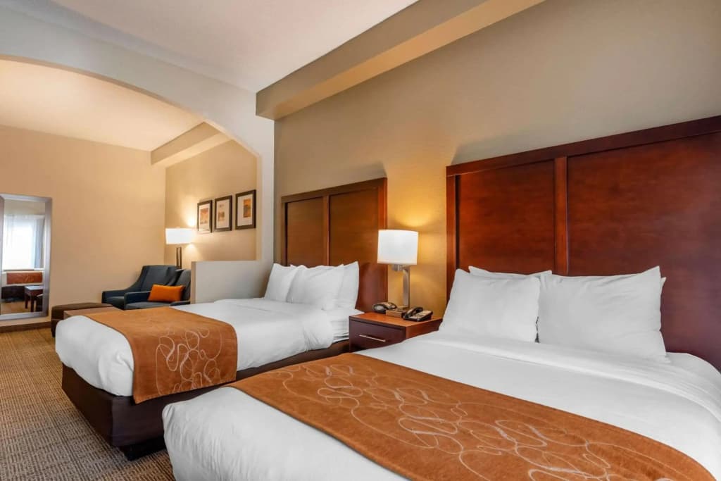 Comfort Suites Downtown - photo 5