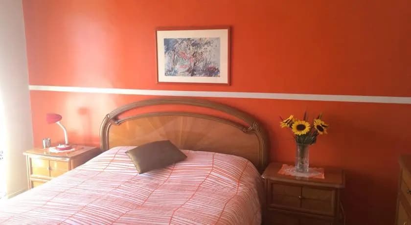 The Colourful House - photo 3