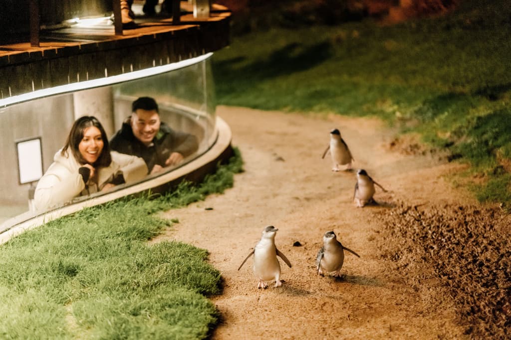 Holiday Inn Dandenong by IHG - photo 23
