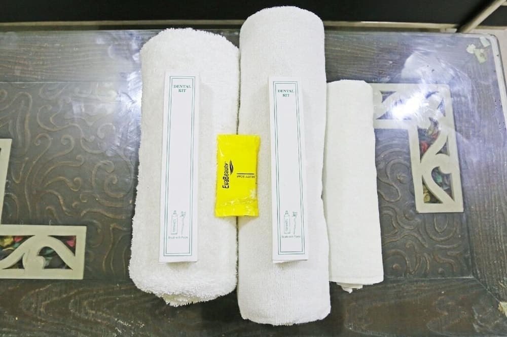 KDSON Vindhya Inn - photo 7