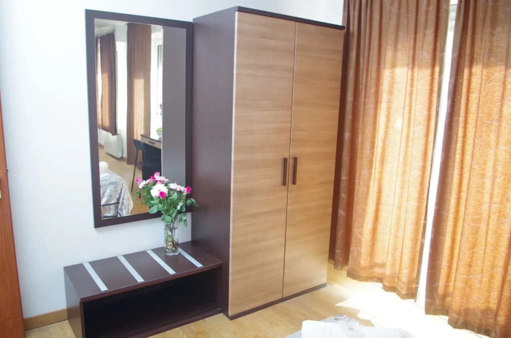 Hotel Euro Inn - photo 6
