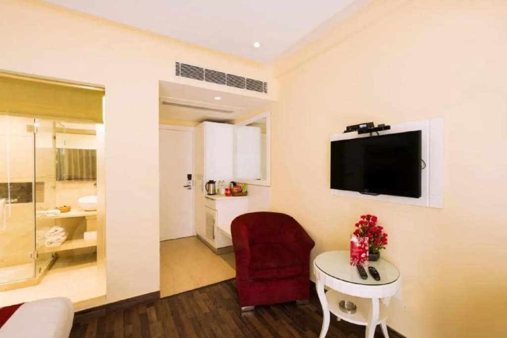 Hotel Picasso Naraina - photo 25