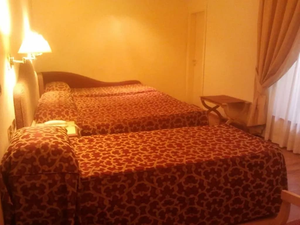 Hotel Benivieni - photo 5