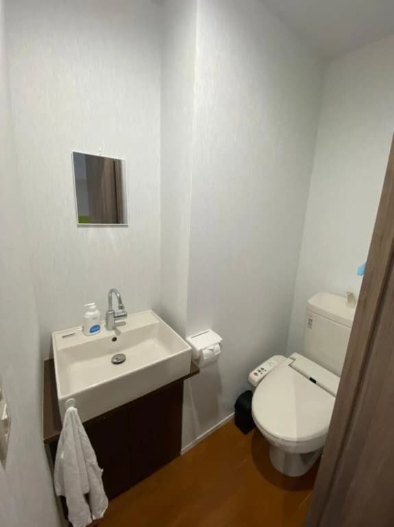 Takemura Building 304 - photo 19