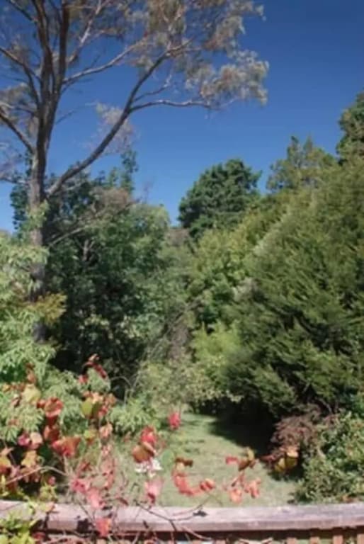 Leura Lady - photo 6