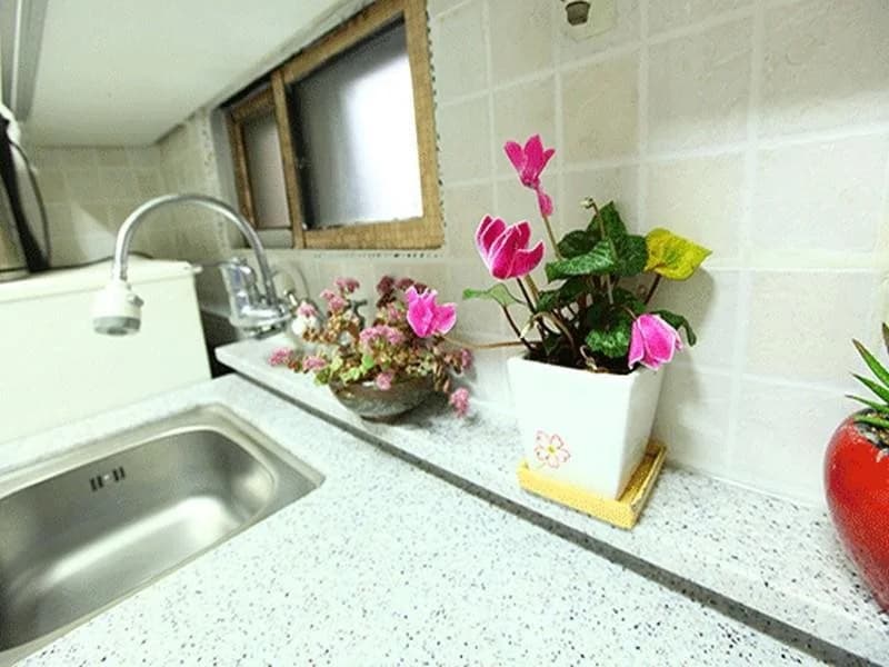 Sky Guesthouse - photo 6