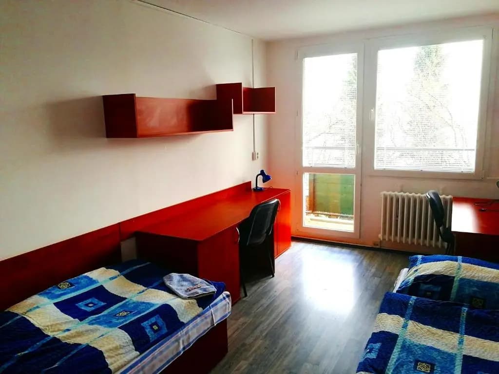 Hostel Blanice - photo 2