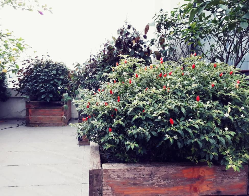 The Ann Hanoi Hotel & Spa - photo 27