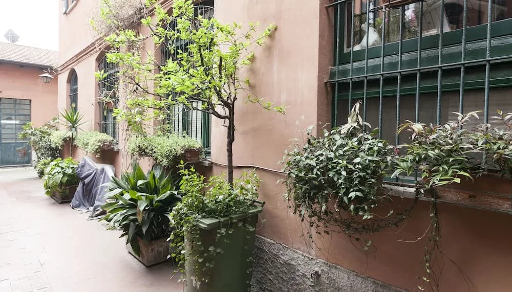 Italianway - Mortara - main photo