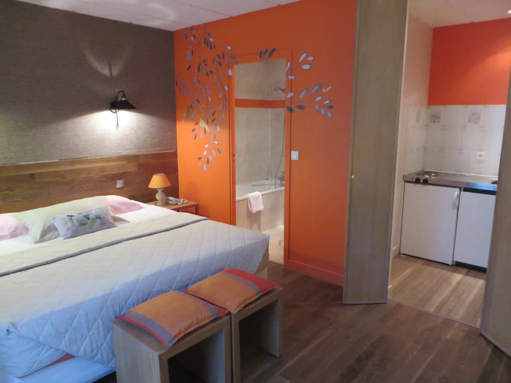 Hotel Le Vert Galant - photo 6