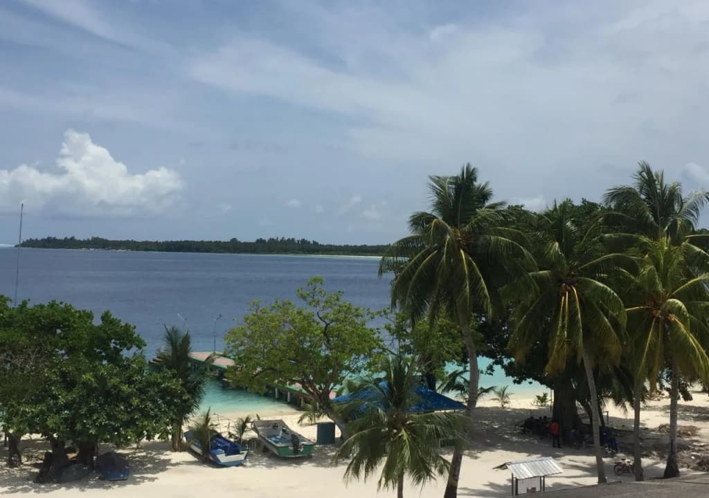 Roashanee Guest House - photo 16