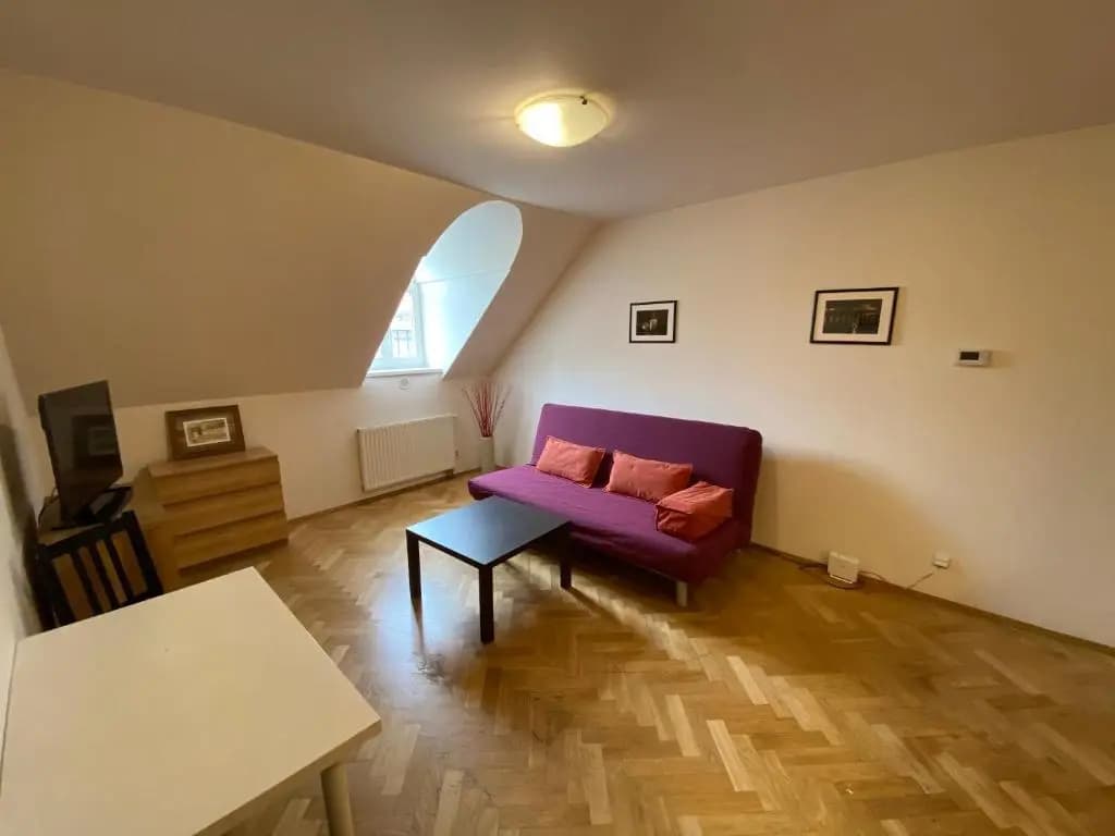 Beautiful Apartment Near Florenc Area of Prague - photo 8