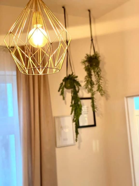 Amazonian Jungle Apartment in Vienna - photo 9