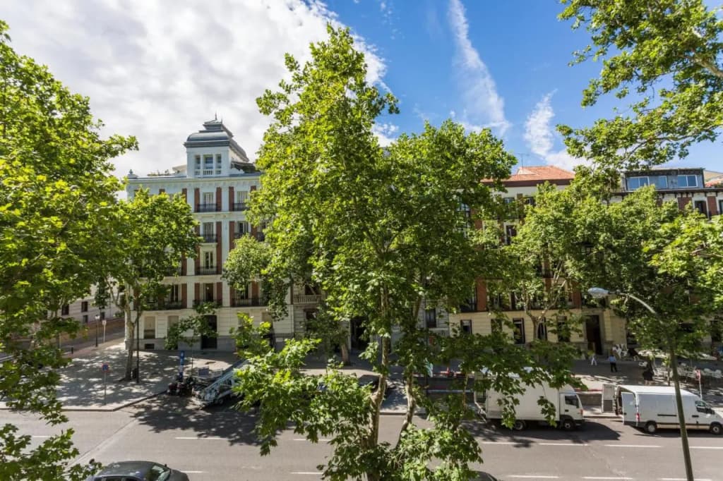 Petit Palace Lealtad Plaza - photo 43