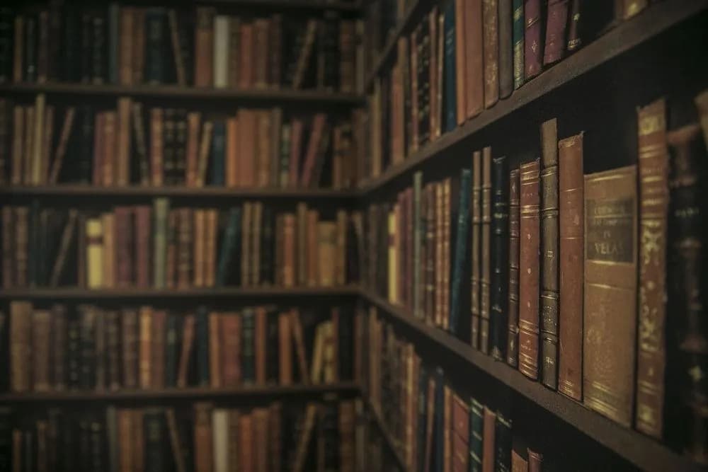The Wardrobe Hostel Libreria - photo 20