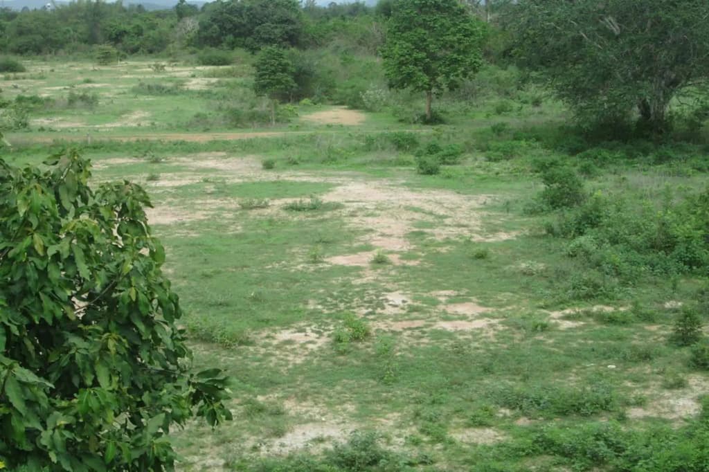 Seajays Resort - photo 20