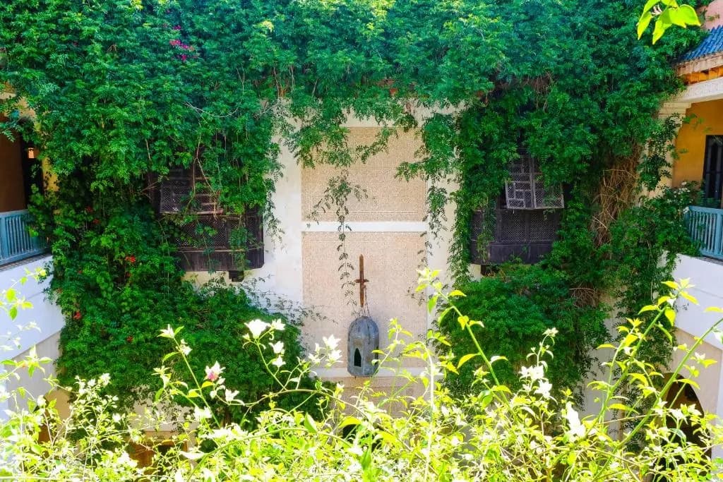 Dar Chibania - photo 7