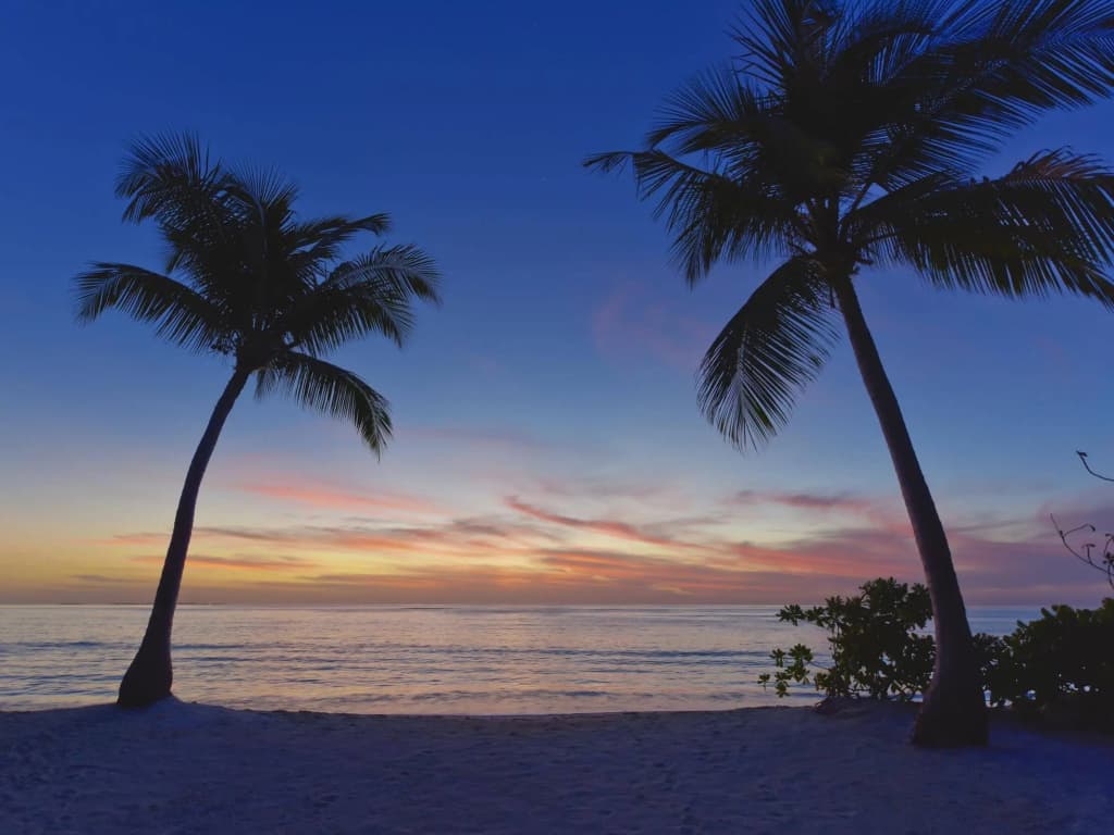 NH Collection Maldives Havodda Resort - photo 26