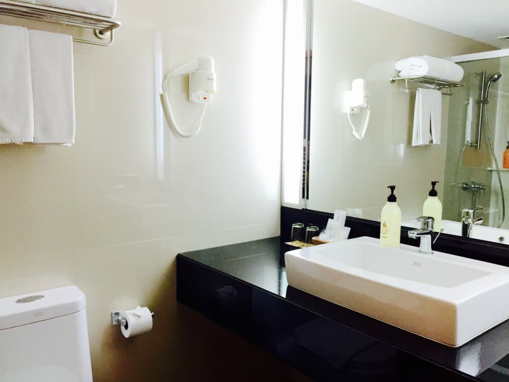 Indra Regent Hotel - photo 9