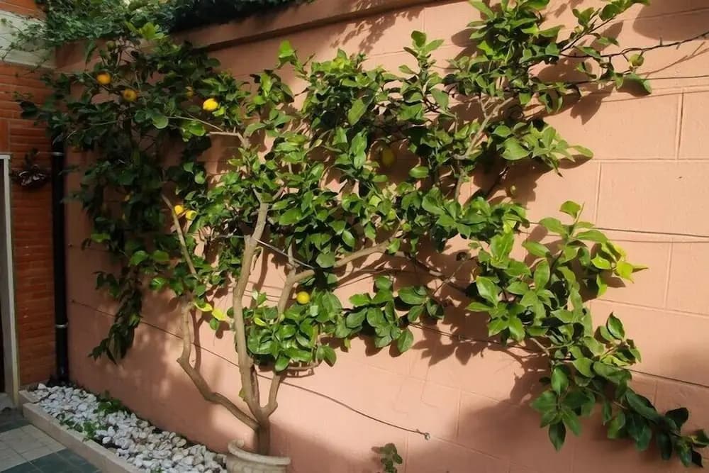 Stella Polare BnB - photo 15