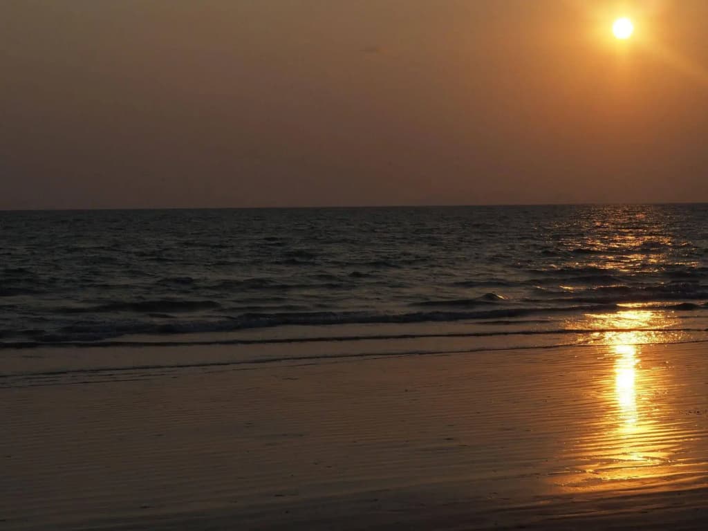 Ocean View Resort - photo 14