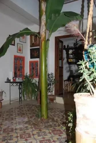 Riad Dar Naciri - photo 15