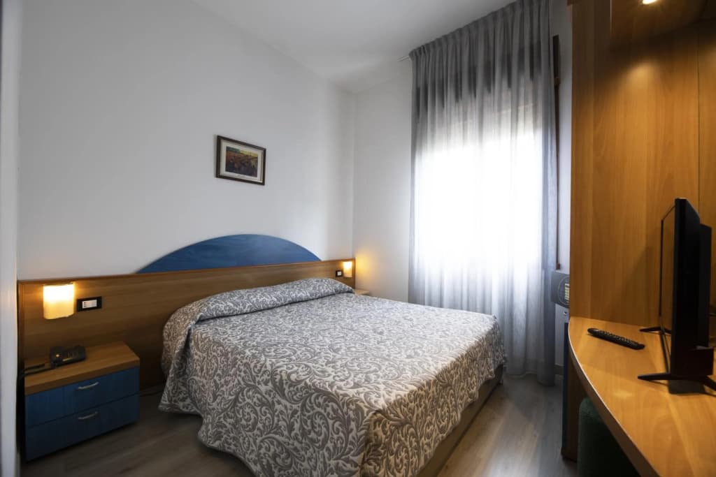 Hotel Vienna - photo 4