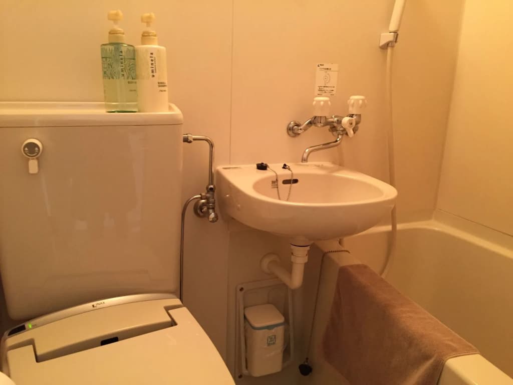 Hotel Chuo Oasis - photo 8