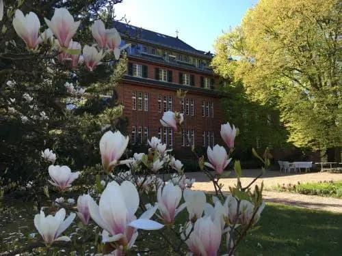 Gäste- und Tagungshaus am Glockengarten - photo 16
