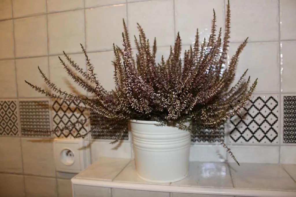 Apartman u Hradcan - photo 9