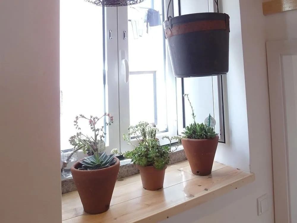 Alfamasweethome 1 - photo 10