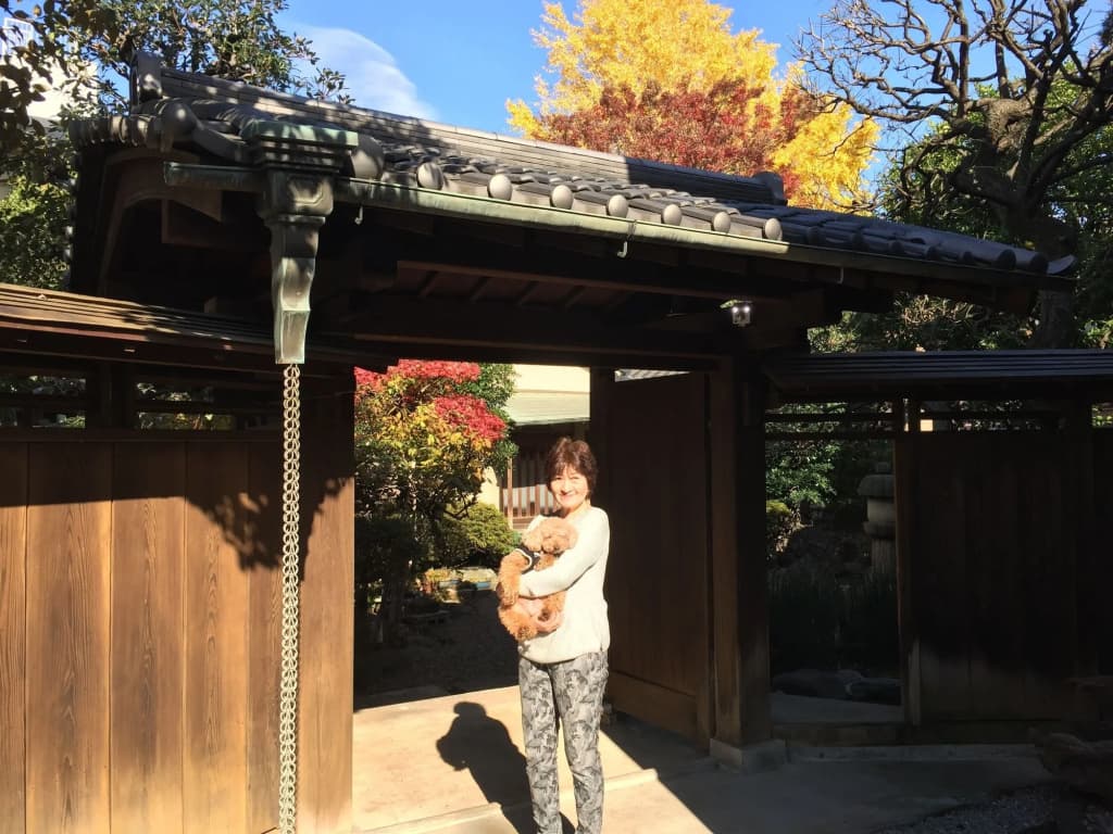 Mokkoan - photo 19