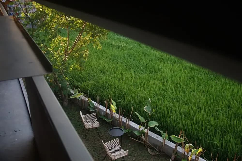 Kultur Umalas Hostel - photo 14