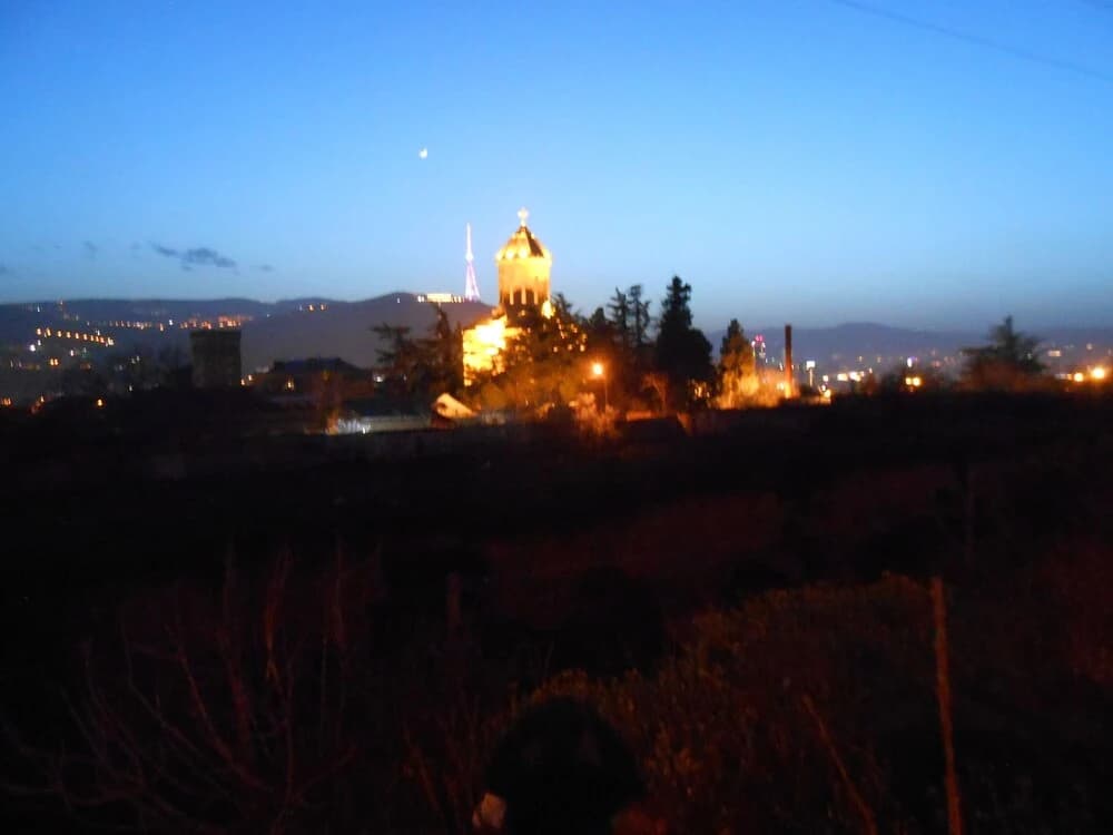 Caucasuoni - photo 12