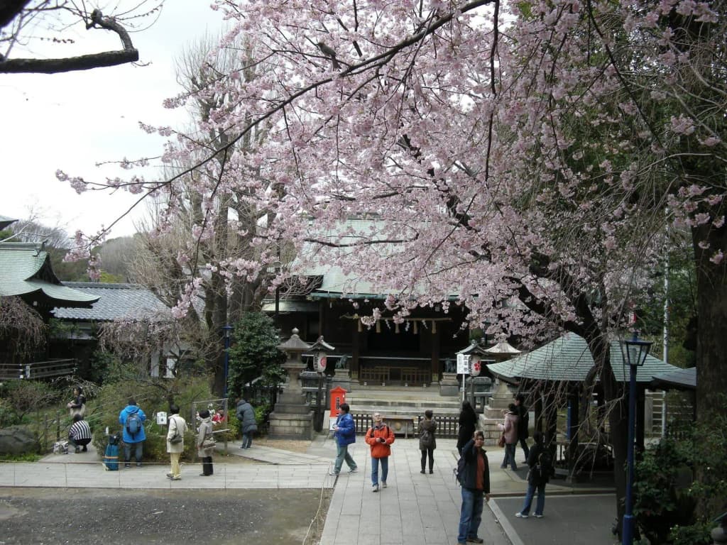 Ueno Terminal Hotel - photo 22