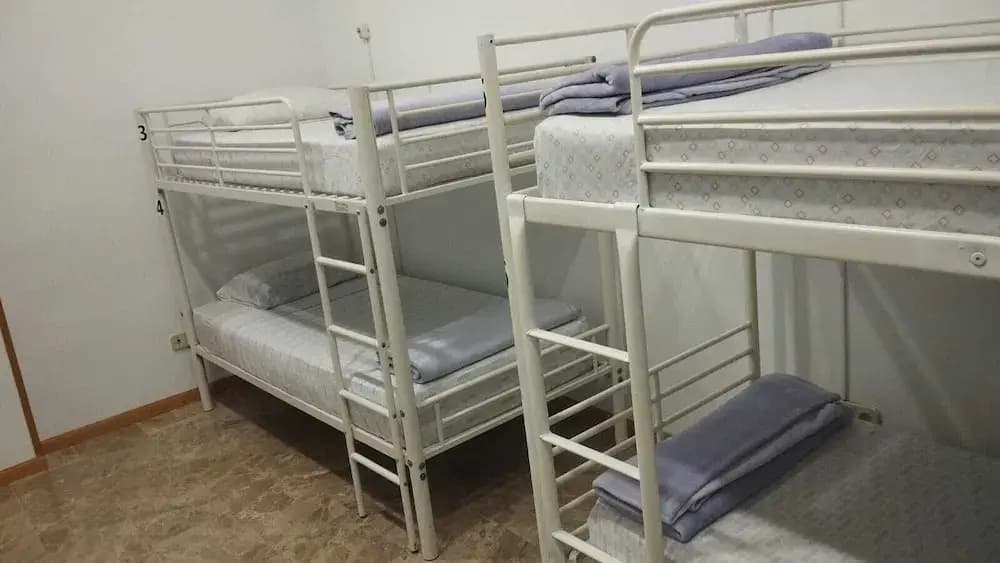 Hostel Travelers Inn - photo 6