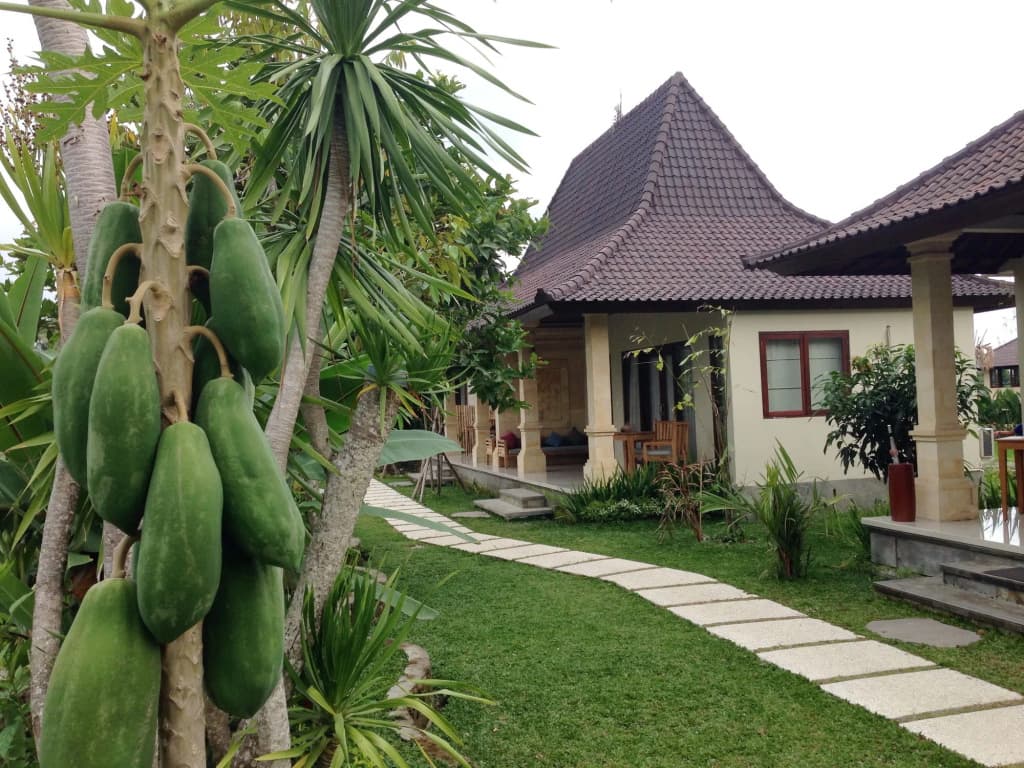 Masia Villa Ubud - photo 18
