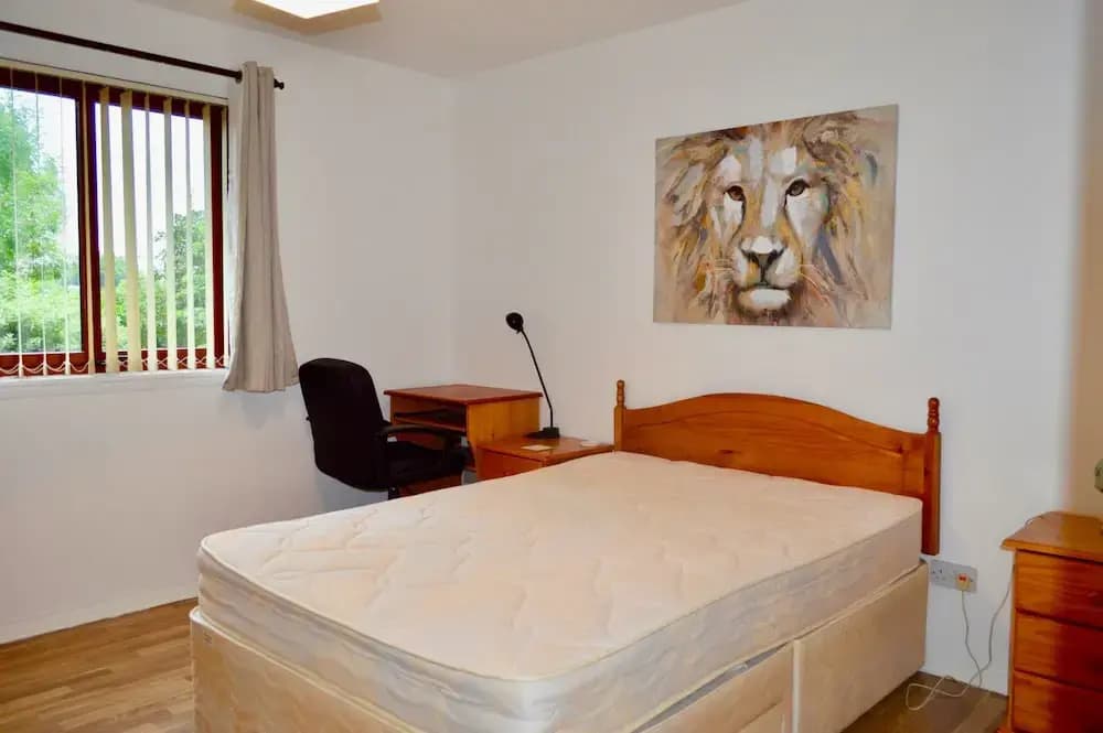 Spacious 2 Bedroom Ground Floor Flat in Leith - photo 12