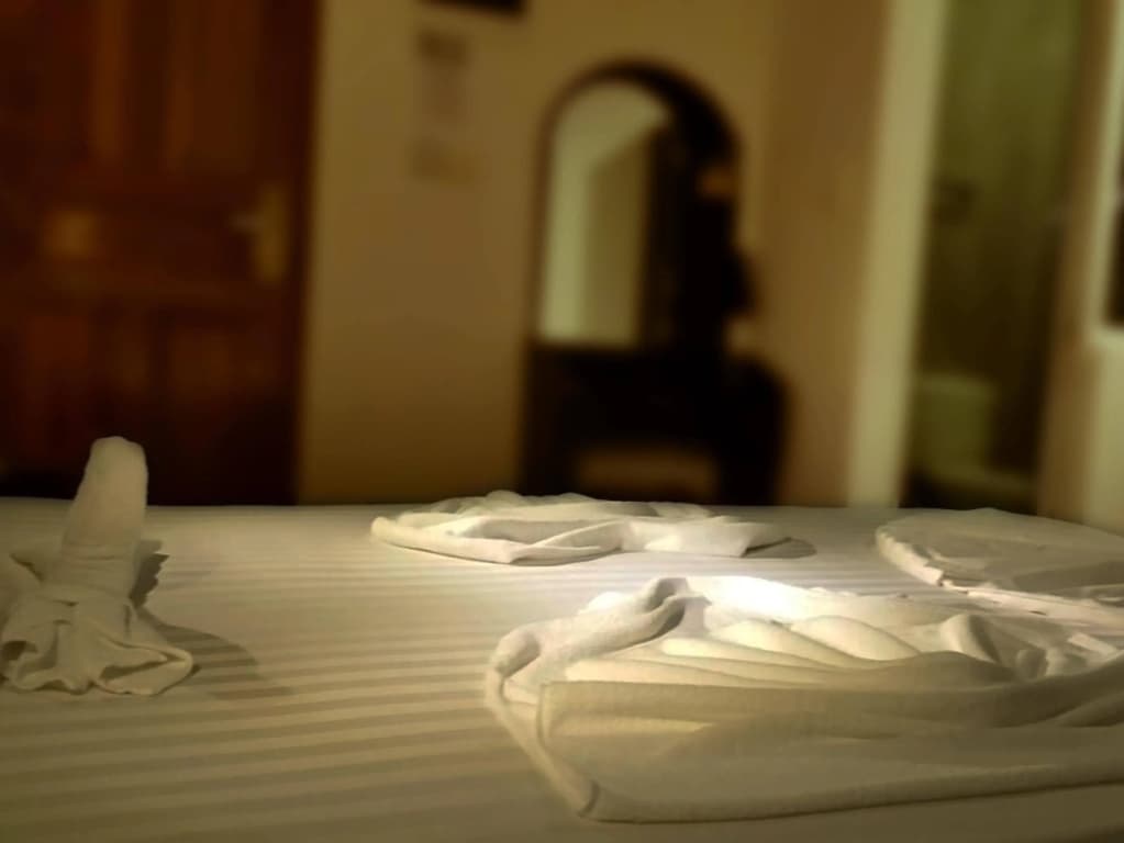 Seven Corals Guest house - photo 10