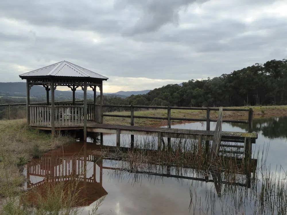 Deloraine Homestead - photo 21