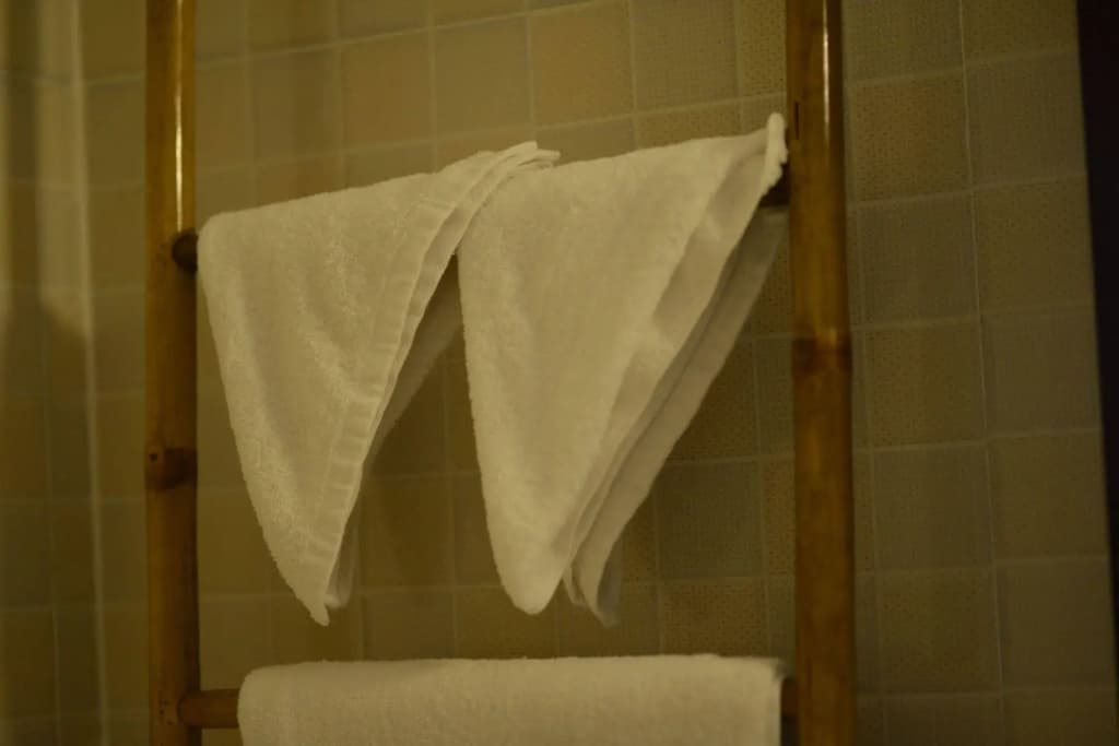 Dream Mango Villa - photo 6