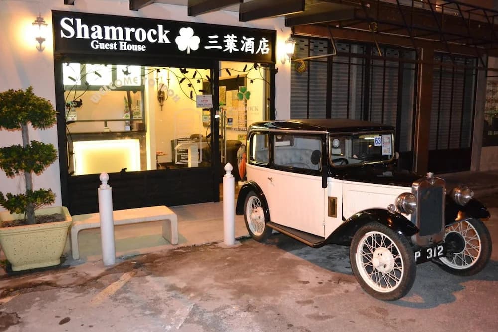 Shamrock Guest House - photo 16