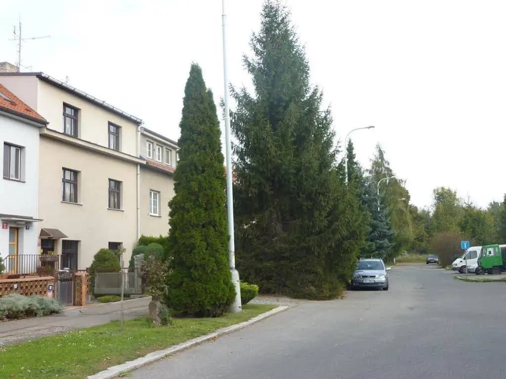 Pension 21 - main photo