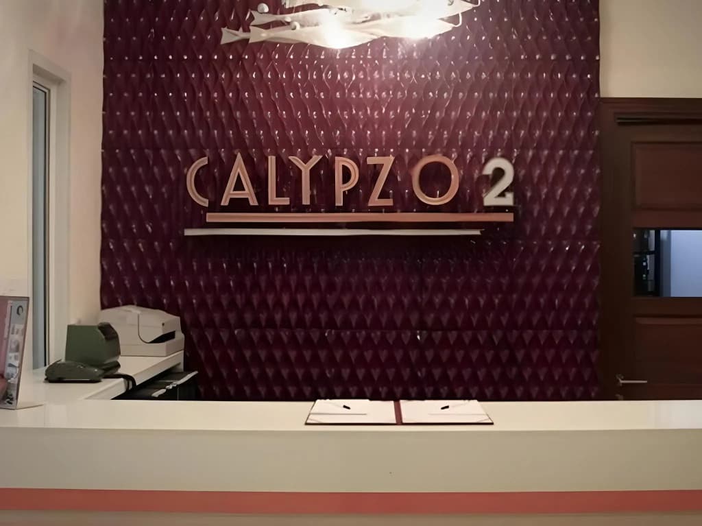 Calypzo 2 - photo 4