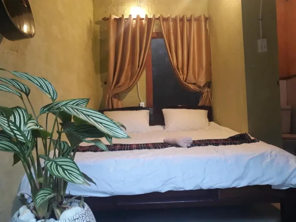 Ngo Khanh Homestay - photo 4