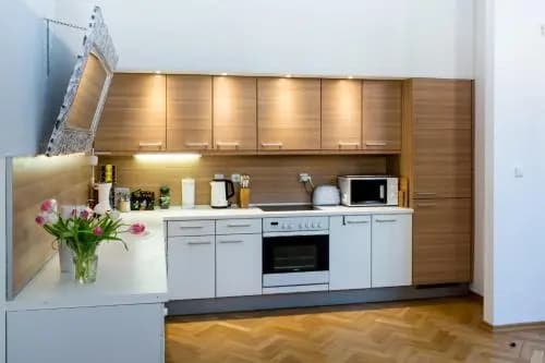 Luxury Apartment Maiselova - photo 19