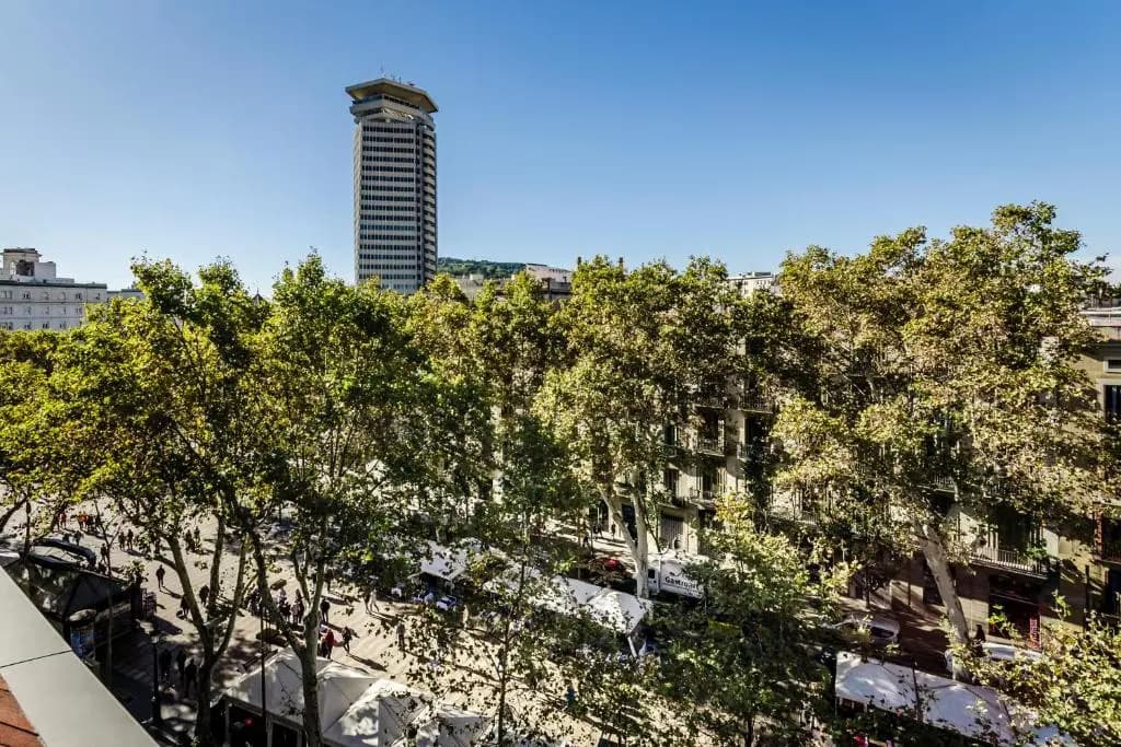Ikonik Ramblas - photo 24