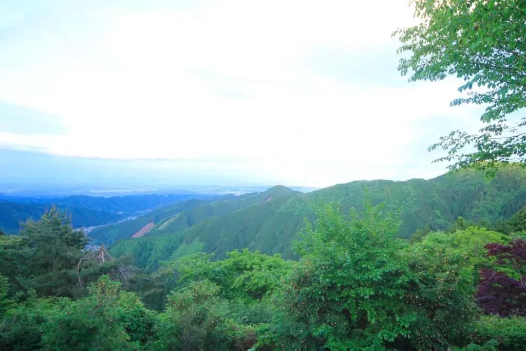 Nobori - photo 12