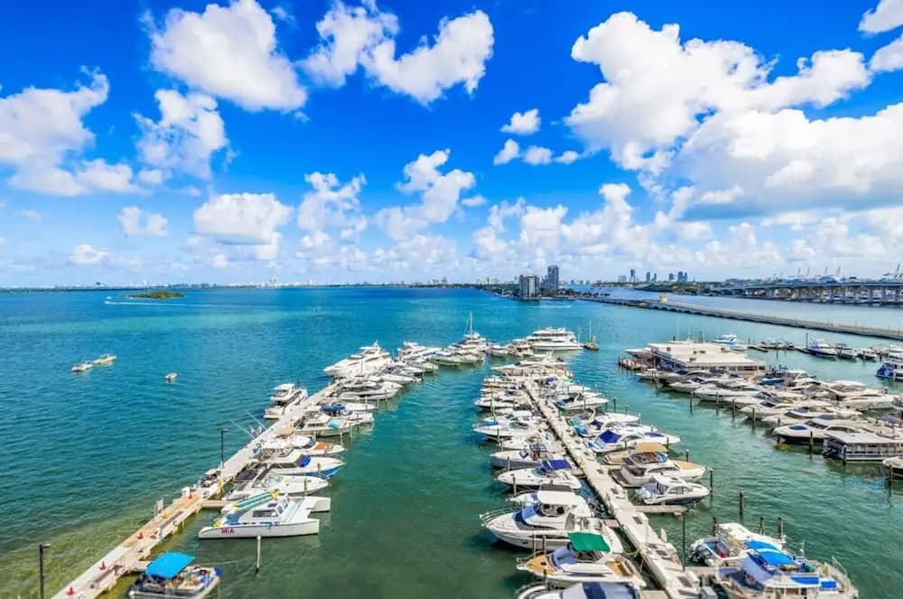 The Grand Wonder Biscayne(No Front Desk Contact The 5 Days In Advance) - photo 4