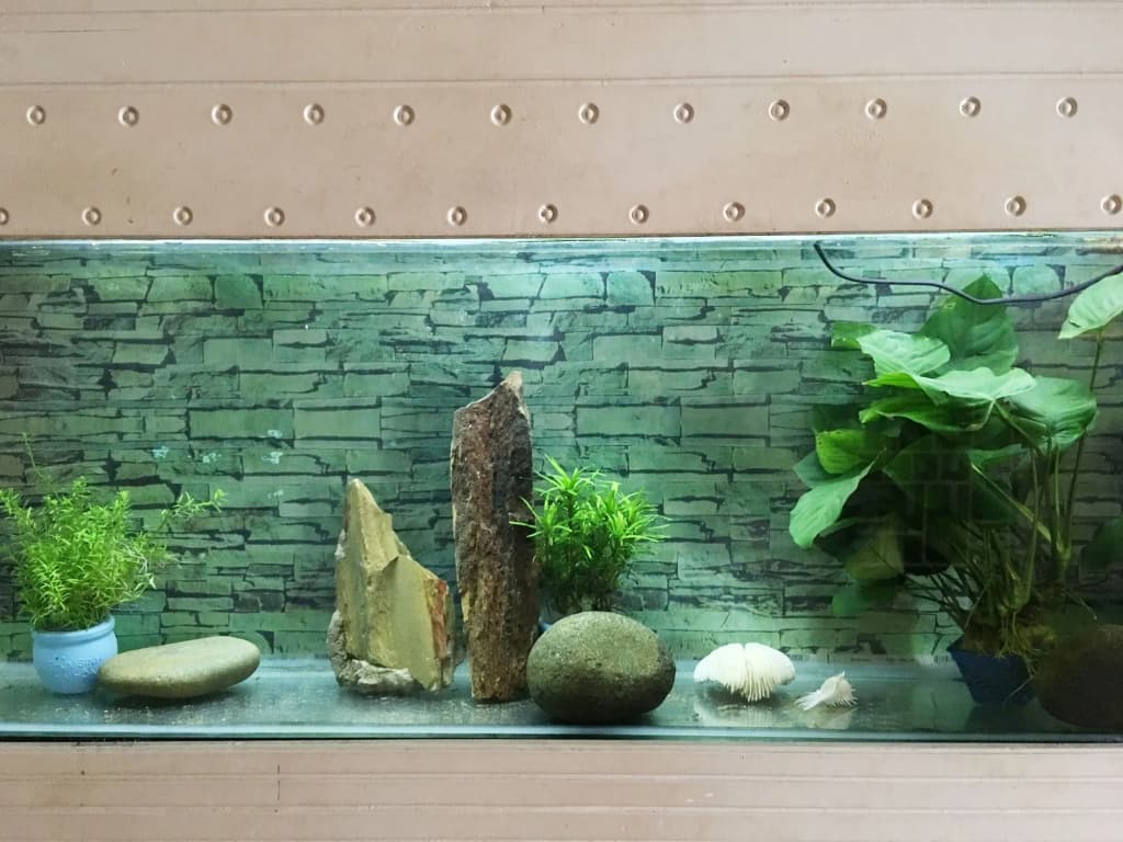 Ha My Guesthouse - main photo